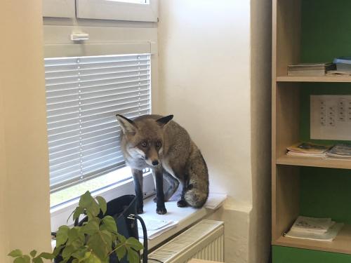 Výukový program - Pochop přírodu 1