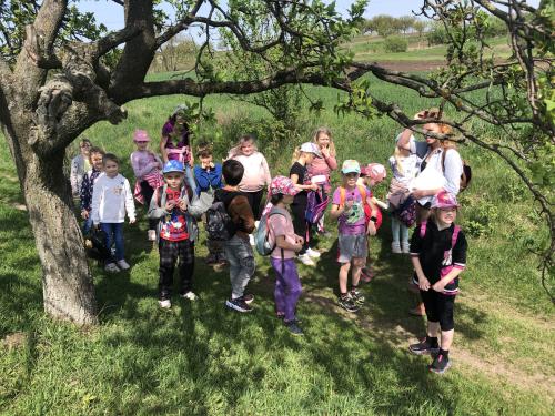 ŠD - exkurze do&nbsp;Šitbořic 1